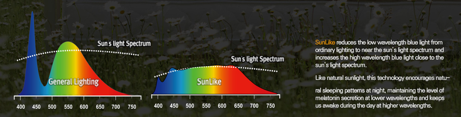 Spectrum Logic Comparison