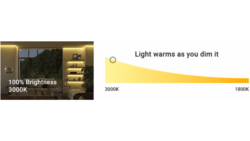 Xmart Dim to Warm LED Strip at 3000K 100% Brightness - Commercial Lighting Manufactured in Vietnam