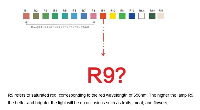 what is r9